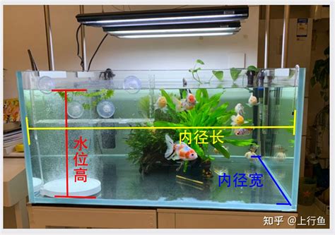 如何计算鱼缸水量